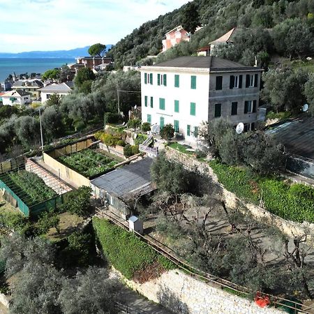 Cav Gli Ulivi Di Bogliasco Βίλα Εξωτερικό φωτογραφία