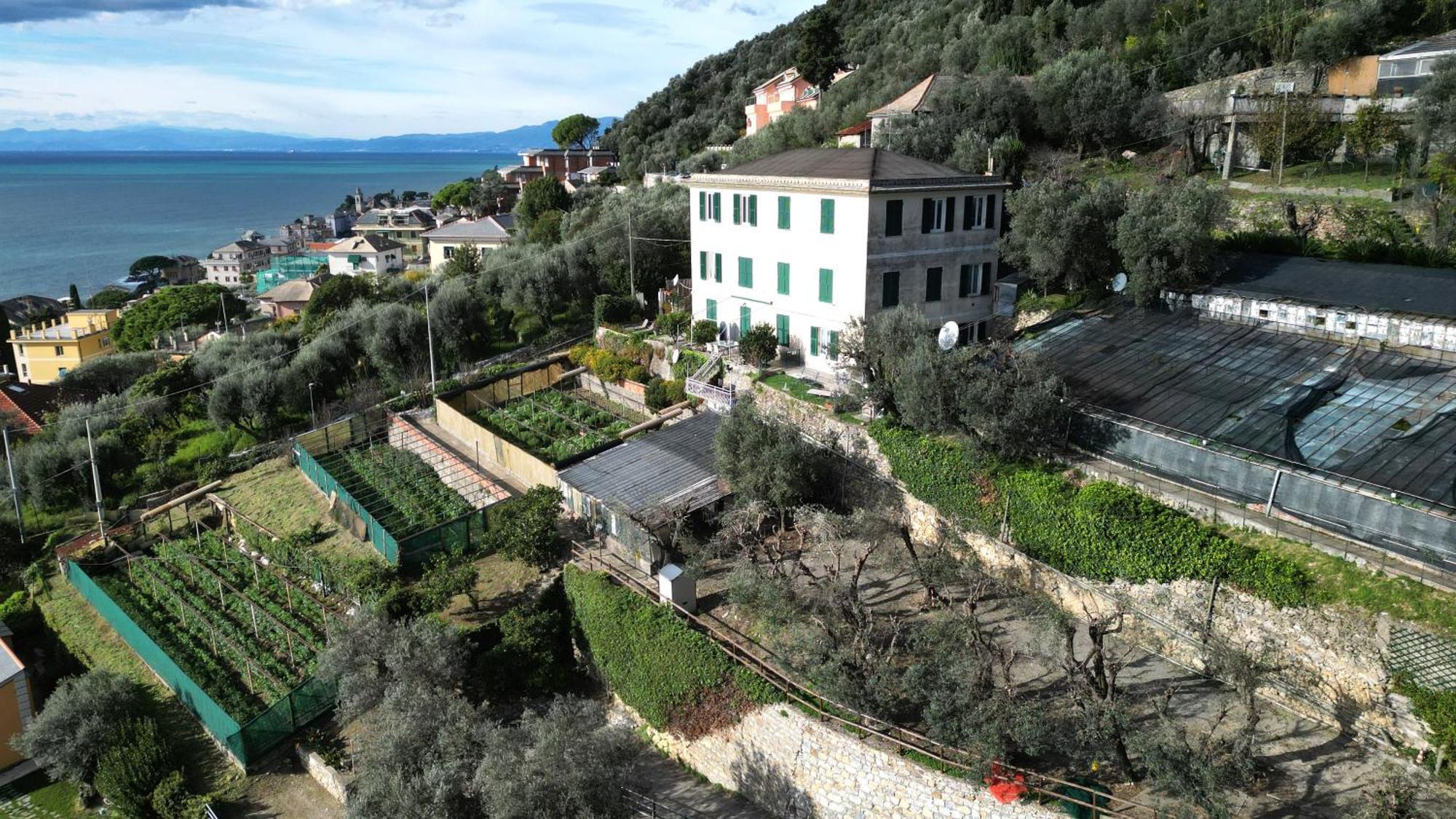 Cav Gli Ulivi Di Bogliasco Βίλα Εξωτερικό φωτογραφία