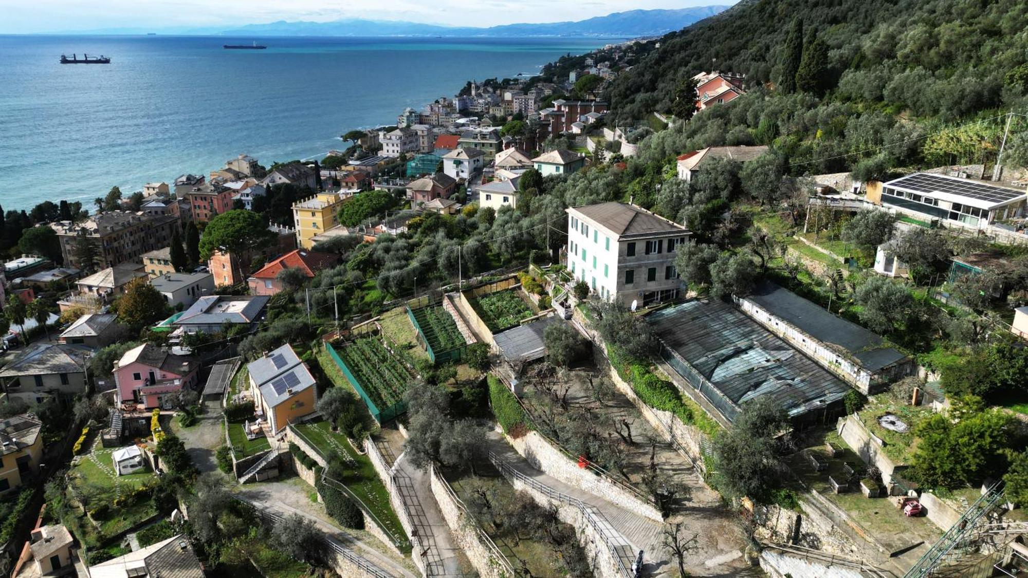 Cav Gli Ulivi Di Bogliasco Βίλα Εξωτερικό φωτογραφία